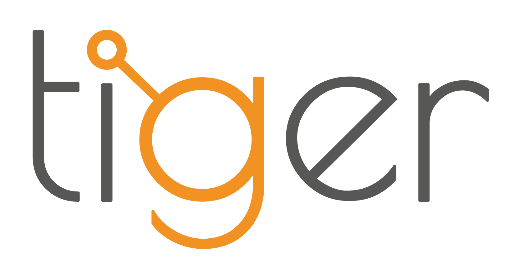 Tiger Systems Digital Marketing Agency